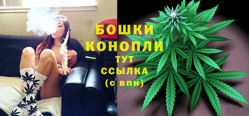 Бошки Шишки Bruce Banner  Билибино 